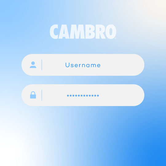 Cambro Size Chart