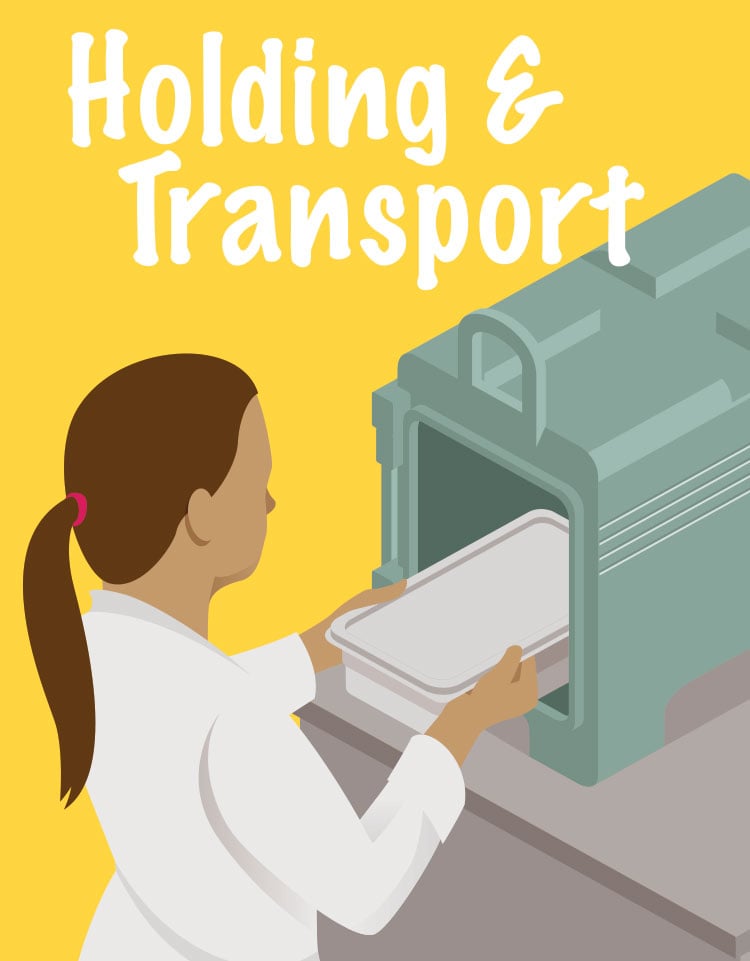 Holding & Transport